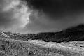 2017_08_09_Auvergne (0025_b-w)